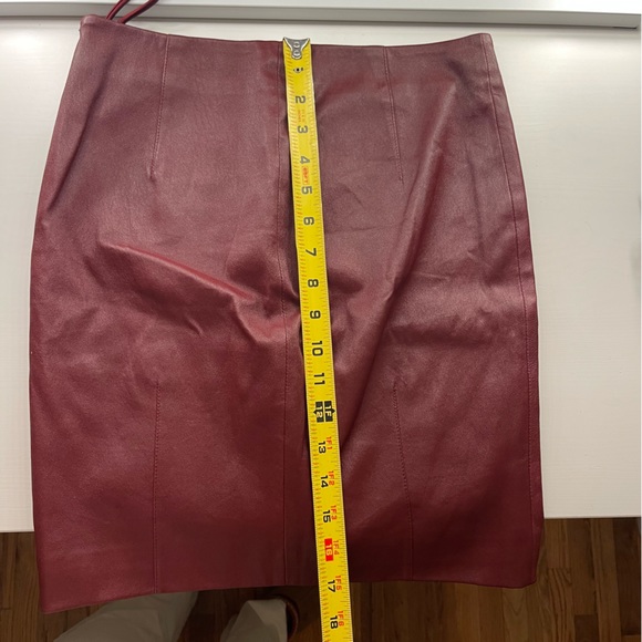 The Row Ebarg Leather Mini Skirt Plum - Picture 10 of 10